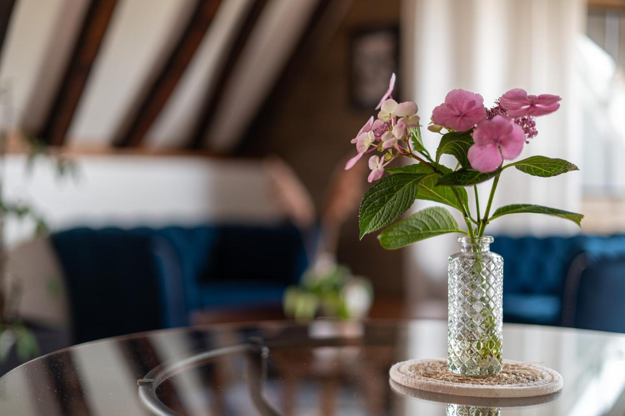 Suite Toussaint - Calme & Authentique อองเชร์ ภายนอก รูปภาพ
